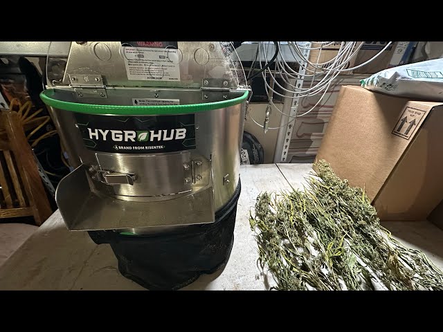 Hygrohub T250 trimming machine review