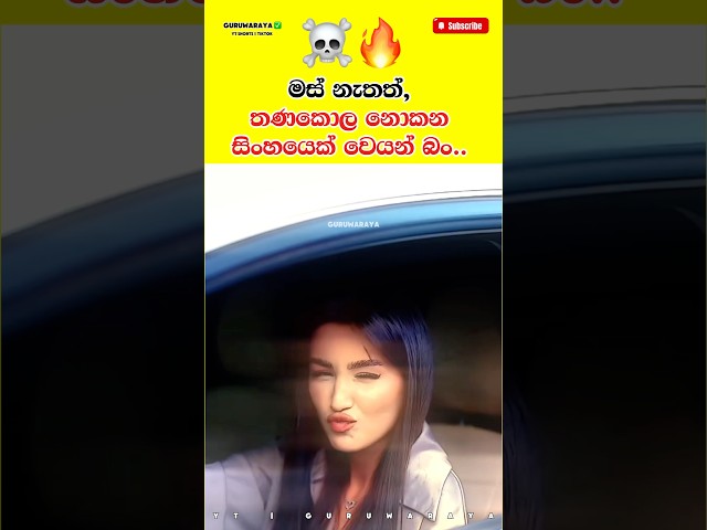 තණකොල නොකන සිංහයෙක් වෙයන් බං ☠️⚠️ motivation sinhala video..#motivation #attitude #vial