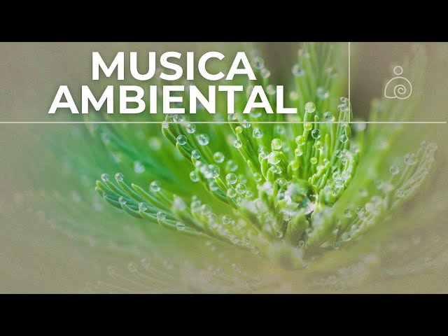 🌿Música Ambiental 2024 / Libera El Estrés Y la Ansiedad /🌿