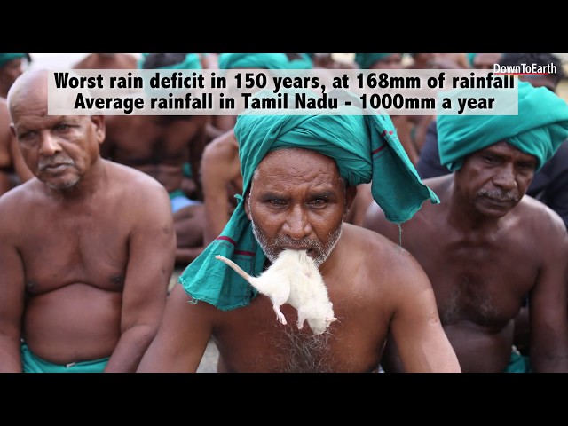 Ground Report: Dry in the Delta- Tamil Nadu Drought