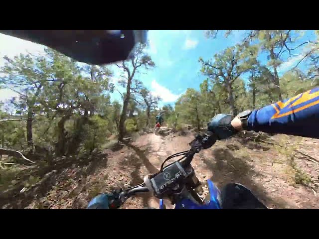 YZ450F Deep Tracking 350 KTM in the woods