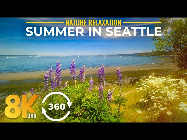 8K 360°VR Ocean Escape - Summer Day at Discovery Park, Seattle - Virtual Relaxation + Nature Sounds