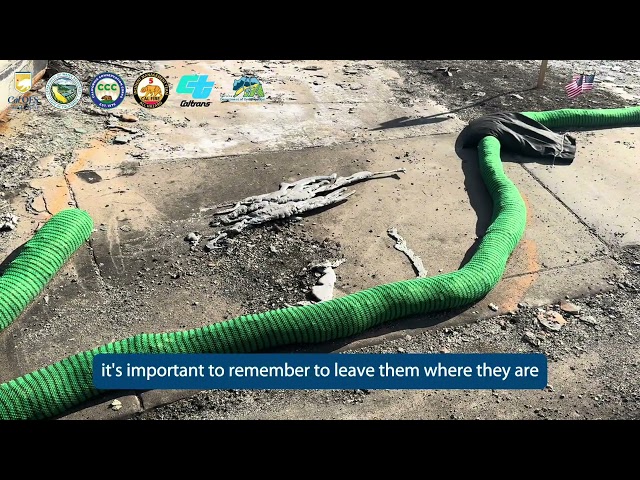 Watch more info on “Green Tubes” and why you shouldn't remove them if they're in your neighborhood!