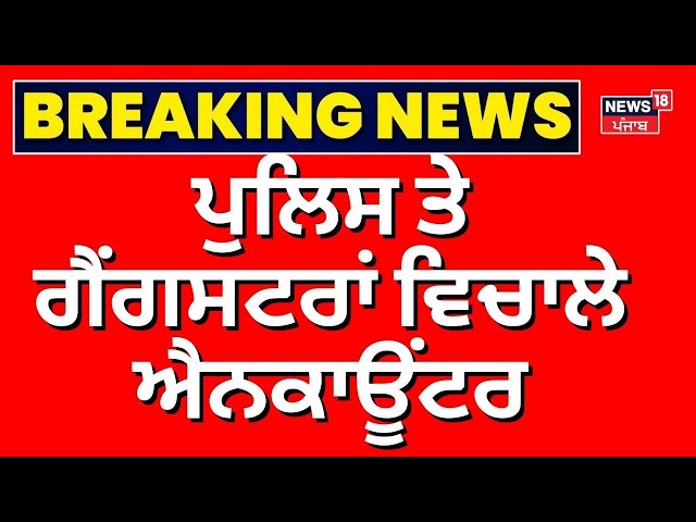 Live | Mansa 'ਚ Police ਤੇ ਗੈਂਗਸਟਰਾਂ ਵਿਚਾਲੇ Encounter, ਦੋਹਾਂ ਪਾਸਿਓਂ ਫਾਇਰਿੰਗ ਜਾਰੀ | Today Punjabi News