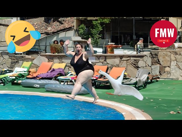 Funny & Hilarious People's Life 😂 #58 - Try not to Laugh | Funny Fails compilation 2024