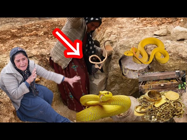 "Unexpected Treasure and Poisonous Snake Attack: Akram Mountain Adventure"#20025