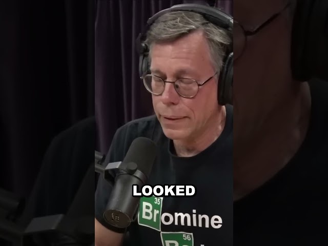 Bob Lazar: "Nine UFOs, All Different—But None from Earth"