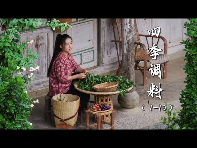 Unique Spice Gardens of the Village | Spices of Four Seasons 【滇西小哥】