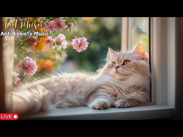 Piano Gentle Music to Help Cats Rest and Reduce The Stres 😺💤 Wishing Your Cats To Sleep Better 🎶