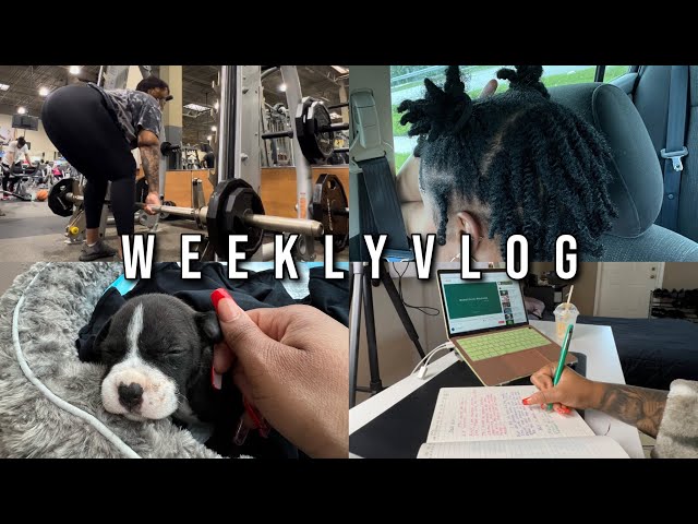 VLOG| starter locs + becoming that girl + my puppy died & more