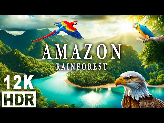 Amazon 12K HDR - The World's Largest Tropical Paradise with Relaxing Music