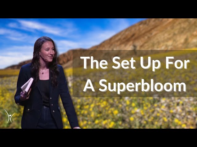 How to Step into Your SUPERBLOOM Season: A Powerful New Year Message