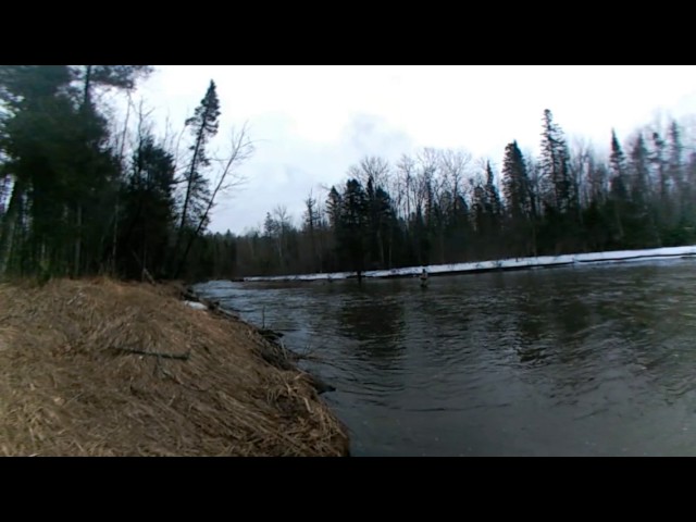 360 video: Steelhead opener on Wisconsin's Brule River