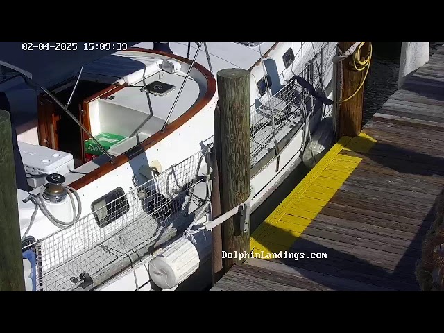 Dolphin Landings Charter Boat Center Live Stream