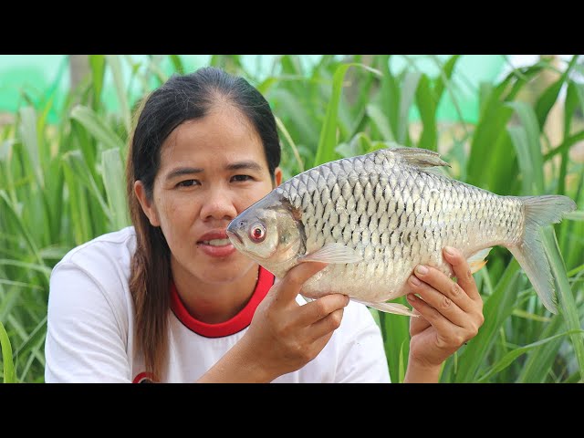 Cooking Easy Fish Soup Recipe -  Fish Soup Cooking Delicious -  Khmer Food TV