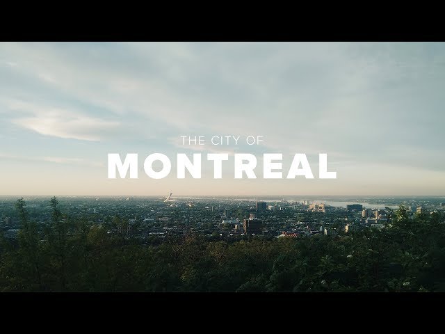 Connections - The City of Montreal (VR experience)