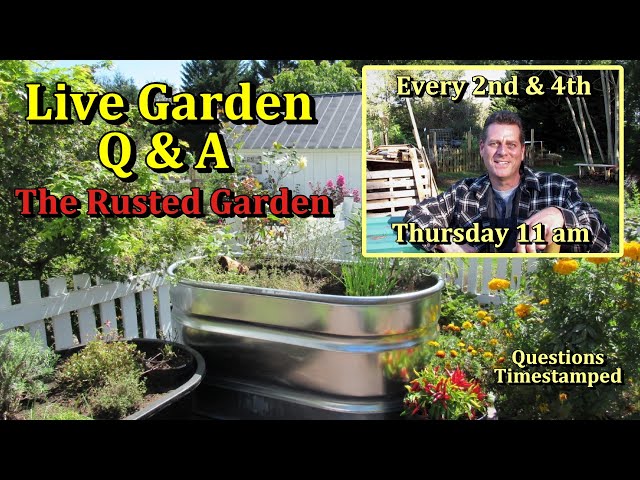 Vegetable Gardening Live  Monthly Questions & Answers E-53 (Pepper Transplants)