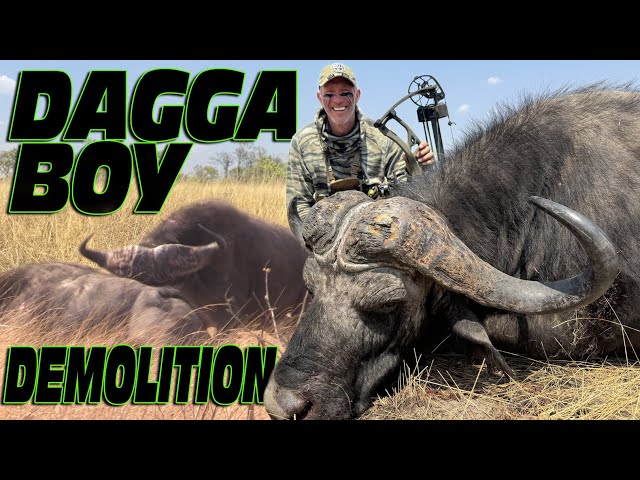 CAPE BUFFALO BATTLE TO THE END! Hoyt RX9 to the ticker and the ending gets crazier by the minute!