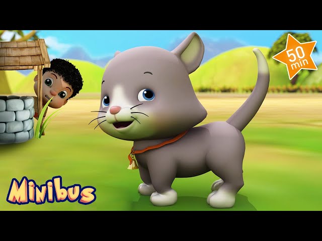 Ding Dong Bell : The Baby Cat Song + More Nursery Rhymes & Kids Songs | Minibus