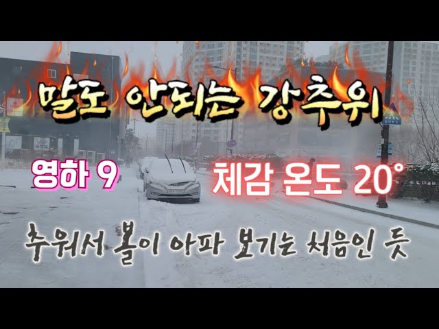 말도 안 되는 강추위에 볼 2 얼었다