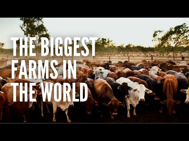 The Top 10 Biggest Farms in the World