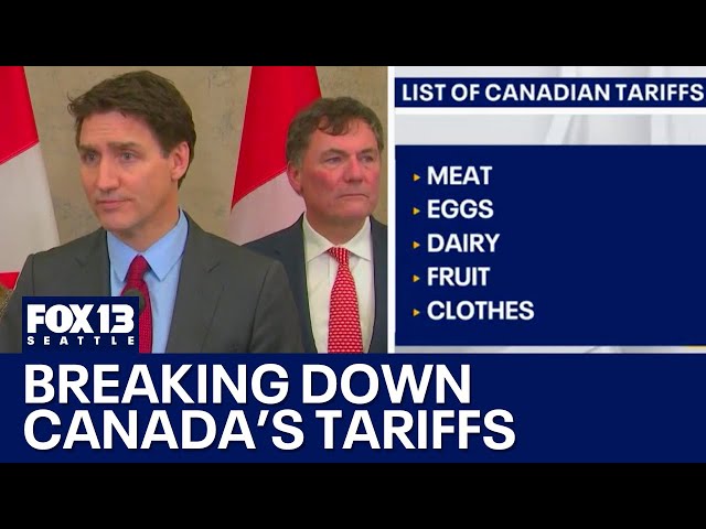 How Canada's retaliatory tariffs will impact the US economy