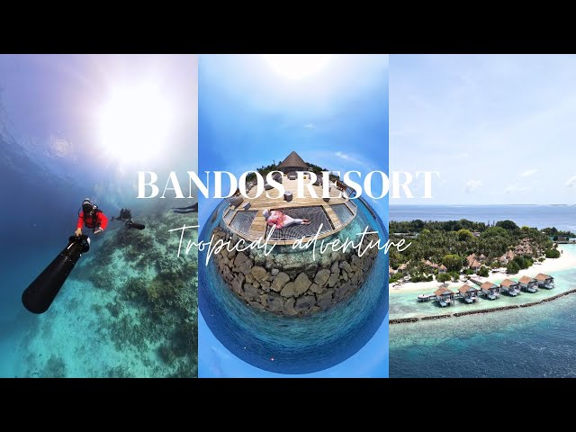 Bandos Resort - Escape to paradise || Resort Tour || Scuba diving || Snorkeling and so much more