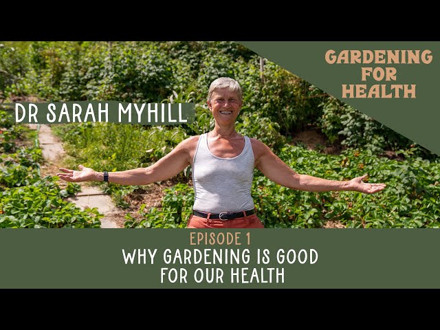 Why Gardening Is Good For Our Health