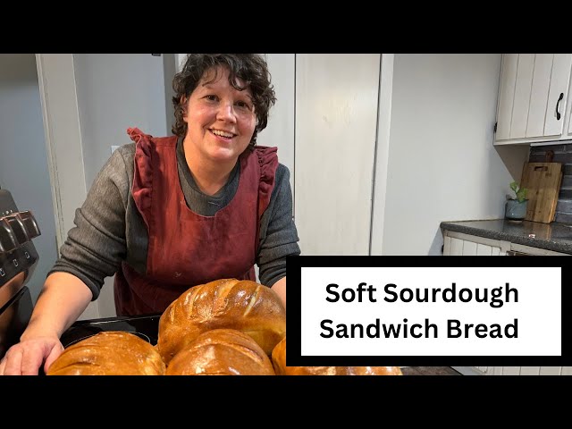 Kates SOFT SOURDOUGH SANDWICH BREAD