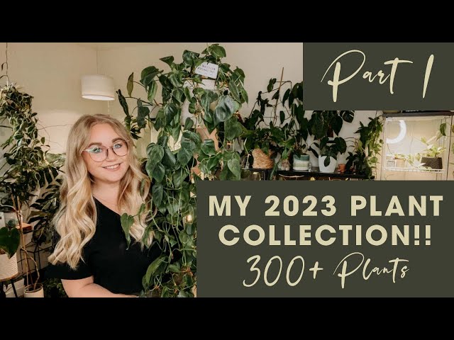 300+ Plant Collection Tour 2023!! | PART 1: Plant Room