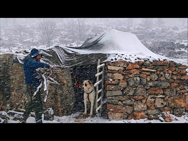 SNOWSTORM WINTER CAMPING IN STONE SHELTER WITH MY DOG, NATURE SOUNDS, COOKING ASMR