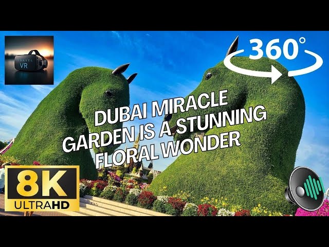 The world's LARGEST Flower Experience, The Miracle Garden in Dubai, United Arab Emirates