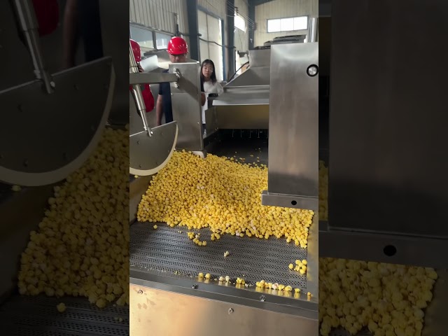 Big Capacity Popcorn Making Machine #popcornmakingmachine #popcornmachine #machine