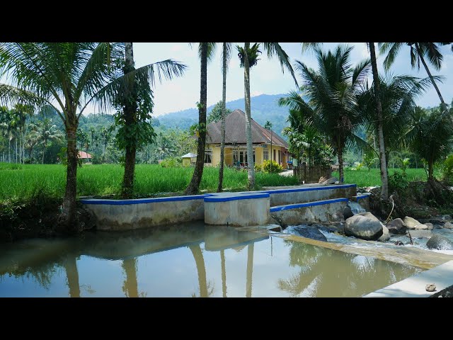 BATU BADINDIANG SELATAN VILLAGE | This Village Was Once a Battlefield | Limo Koto, Pasaman