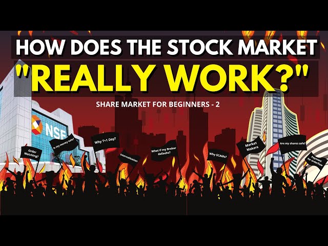 How knowledge on the STOCK MARKET WORKING Made Me A Better Trader! | Stock Market for Beginners |