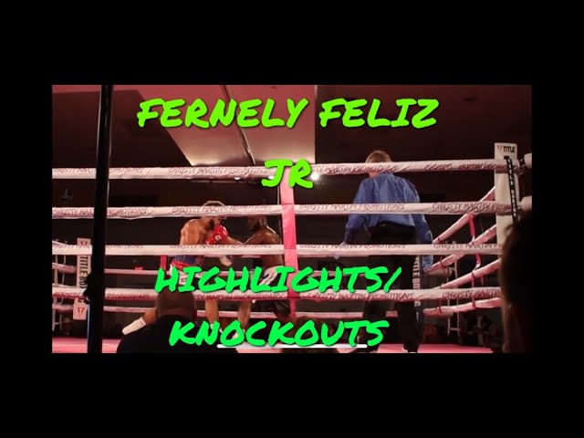 Fernely Feliz Jr - HIGHLIGHTS/KNOCKOUTS