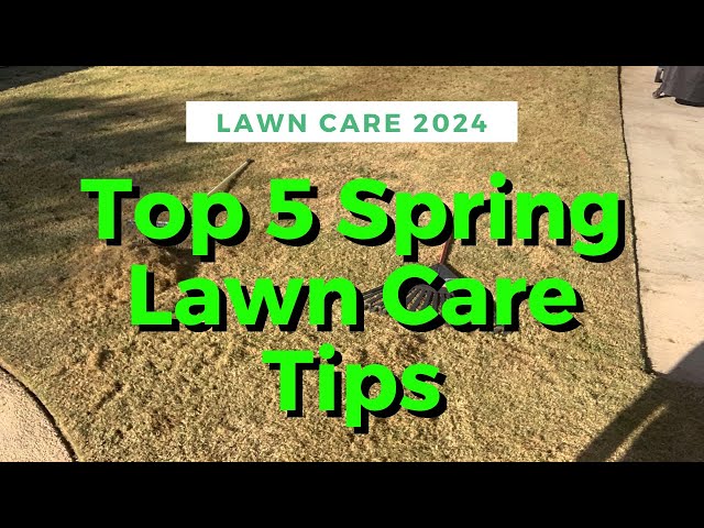 Spring Lawn Care Tips For Bermuda Grass