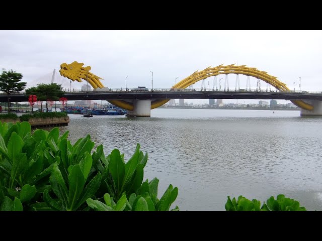 PSVR 3D DA NANG, VIETNAM Dragon Bridge