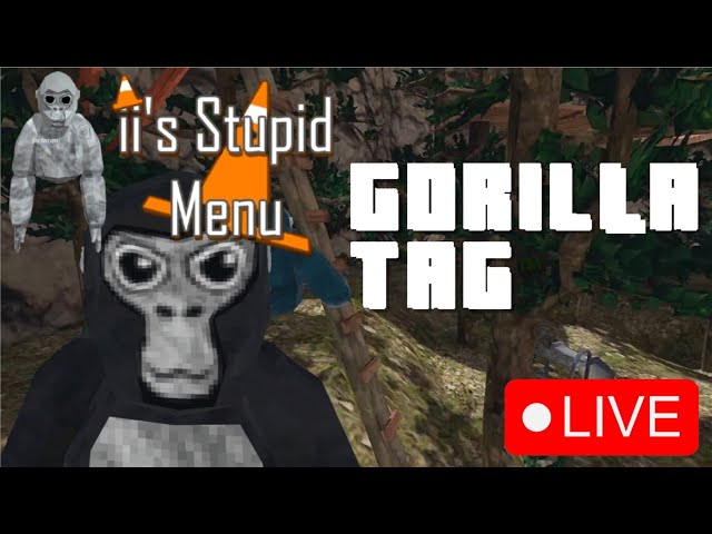 Trolling Public Lobbies with ii's stupid mod menu! | Gorilla Tag