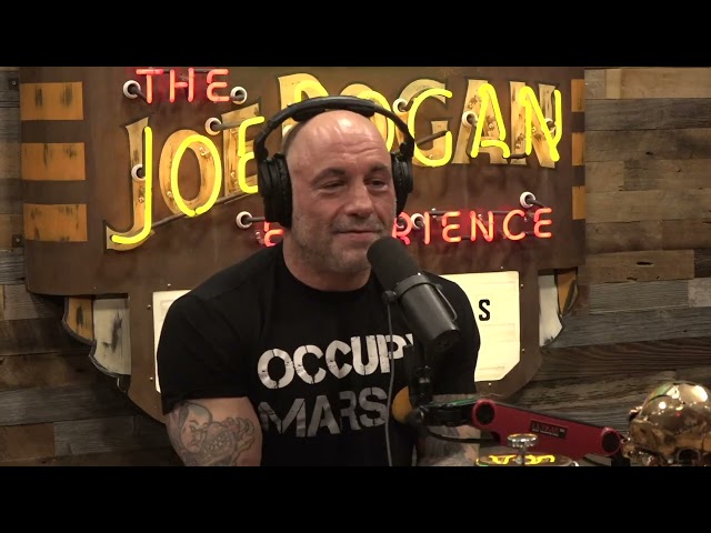 Joe Rogan Experience #1965 - David Choe