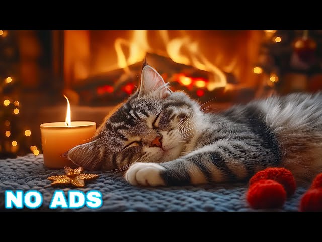 Music for cats with anxiety 🐈 Cat's favorite music no ads 🎵 Cat sleep music, Fireplace No Ads