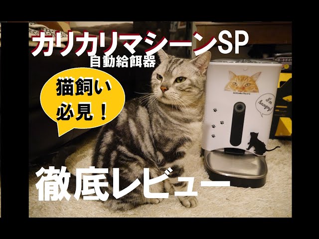 【自動給餌器】カリカリマシーンSP【徹底レビュー】見守りカメラ