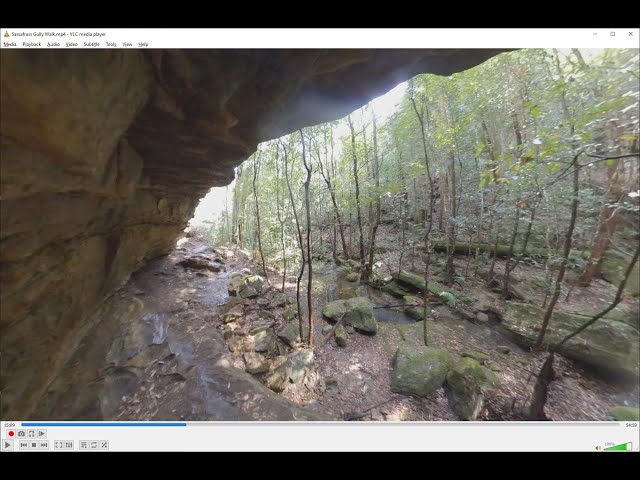 Sassafras Gully Walk - Slow Travel