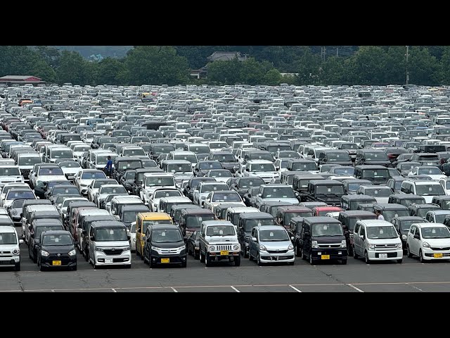 Inventory hunting at japan's largest Auto Auction Gone Viral.