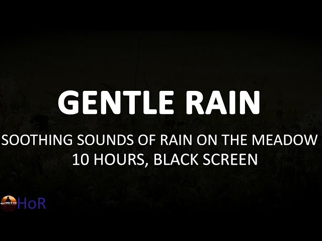 Gentle Sounds of Rain on the Meadow, Soothing Sounds of Nature, 10 Hours of Black Screen Rain