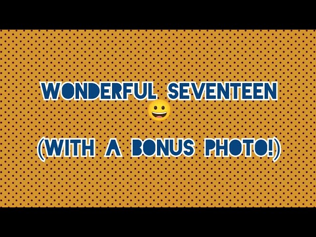 Wonderful Seventeen 😀 (With a Bonus Photo!)