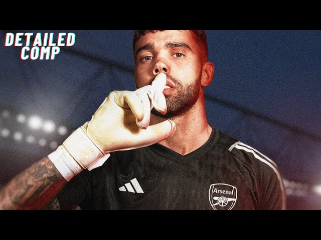 David Raya - Welcome to Arsenal - Detailed comp