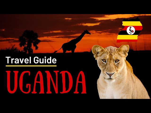 Where to Go in Uganda | Travel Guide (5 best places to visit in 2024)