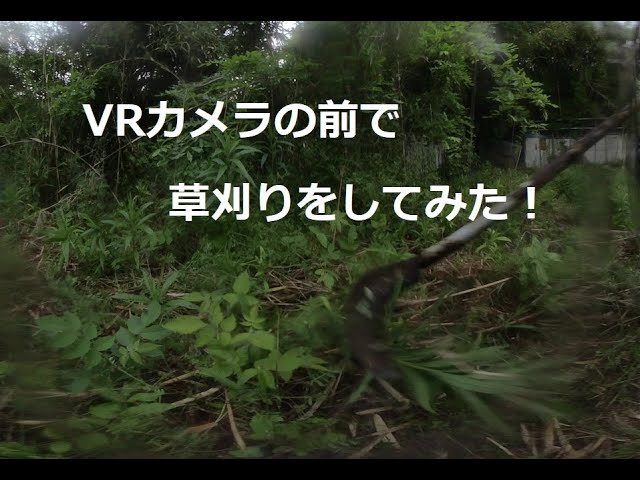 VRカメラの前で、草刈りをしてみた！I tried mowing the grass in front of the VR camera!　180度3DVR　oculus go！