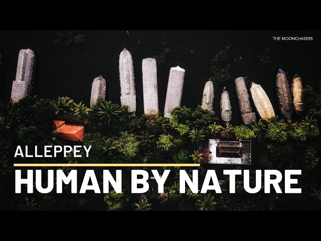 Alleppey : Human by Nature | Kerala Tourism | Drone Video